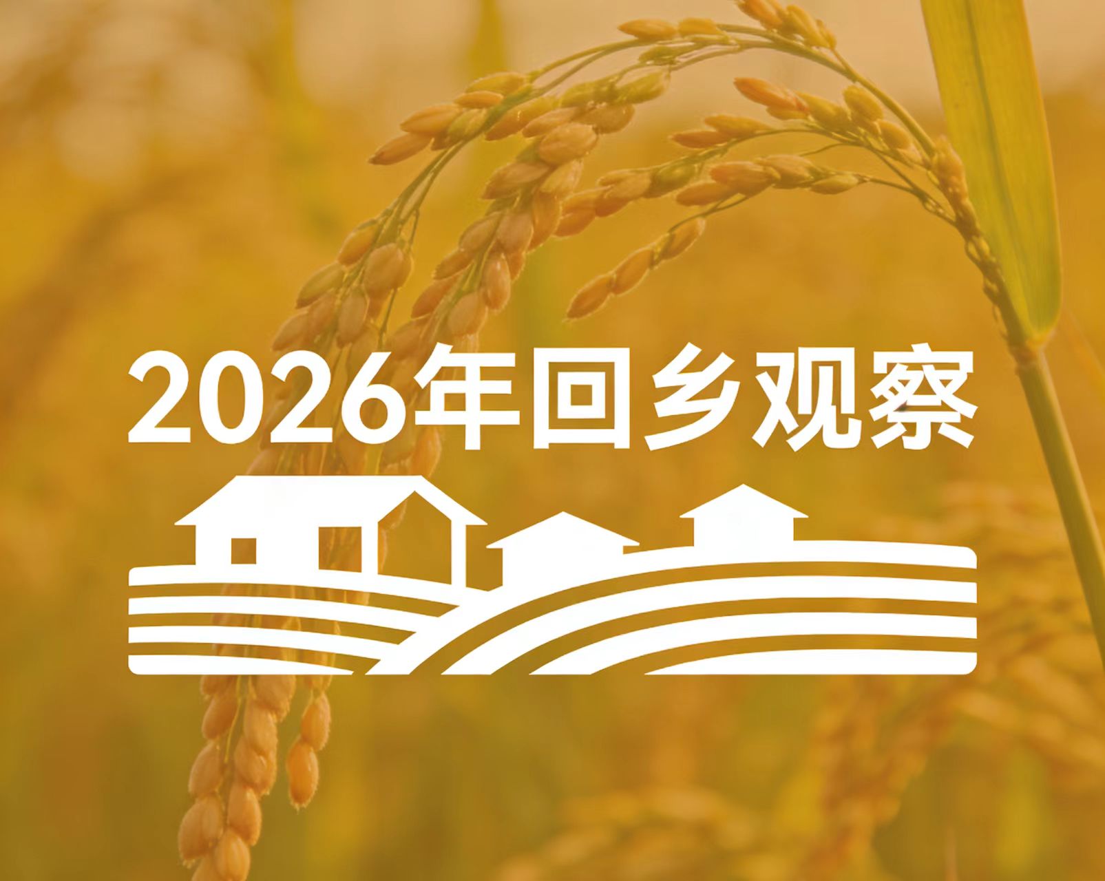 2026�괺�ڻ���۲�